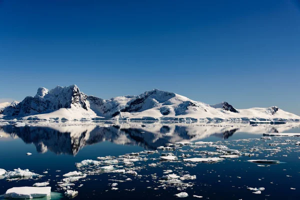 Paysage Marin Antarctique Avec Réflexion — Photo