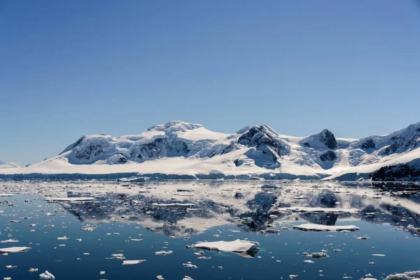 Paysage Marin Antarctique Avec Réflexion — Photo