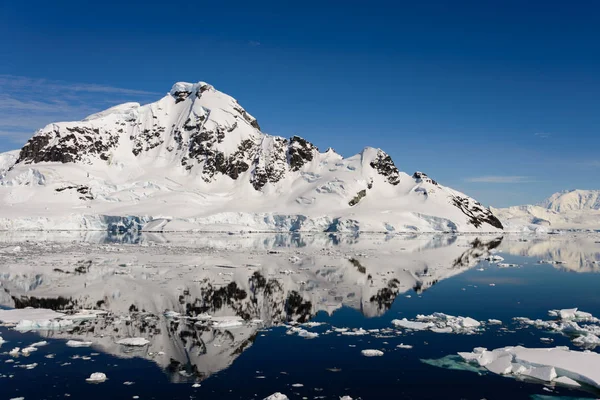 Marina Antártica Com Reflexão — Fotografia de Stock