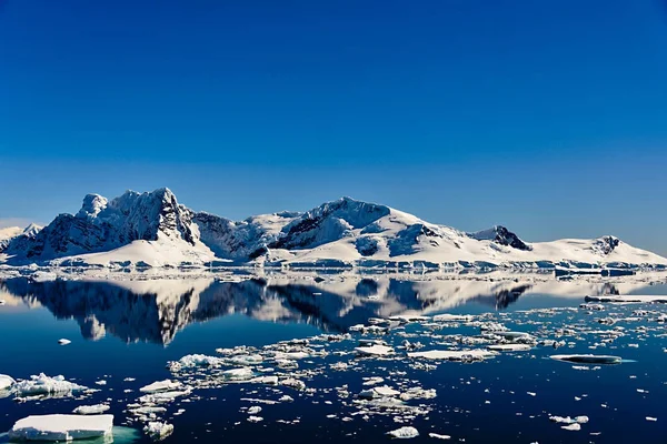 Paisaje Marino Antártico Con Reflejo —  Fotos de Stock