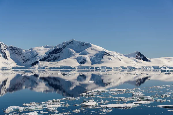 Marina Antártica Com Reflexão — Fotografia de Stock