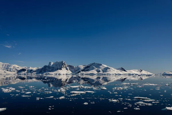 Antartico Paesaggio Marino Con Riflessione — Foto Stock