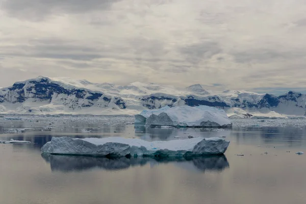 Antarktyki Seascape Odbicia — Zdjęcie stockowe