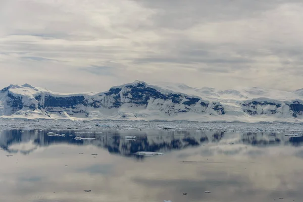 Marina Antártica Com Reflexão — Fotografia de Stock