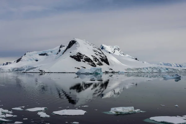 Marina Antártica Com Reflexão — Fotografia de Stock