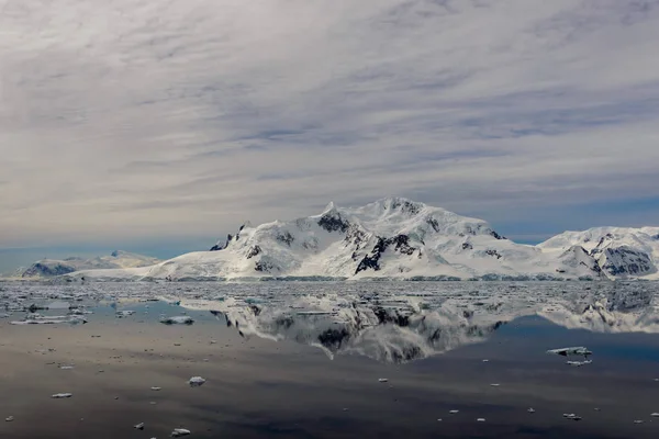 Marina Antártica Com Reflexão — Fotografia de Stock