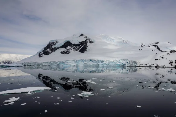 Marina Antártica Com Reflexão — Fotografia de Stock