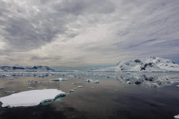 Marina Antártica Com Reflexão — Fotografia de Stock