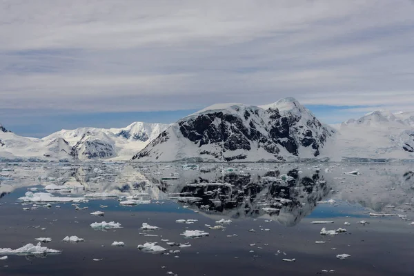 Antartico Paesaggio Marino Con Riflessione — Foto Stock