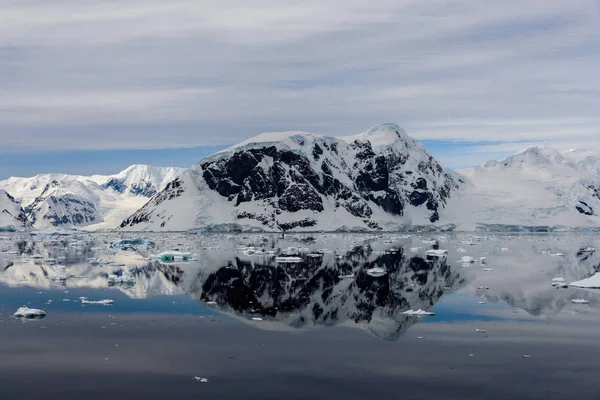 Marina Antártica Com Reflexão — Fotografia de Stock