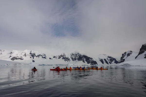Kajakpaddling Antarktiska Havet — Stockfoto