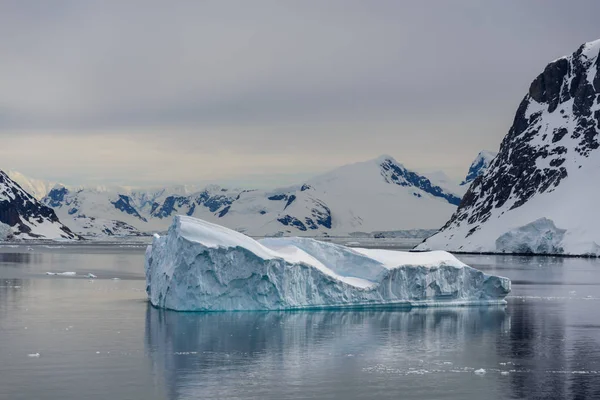 Paisaje Marino Antártico Con Icebergs Reflexión — Foto de Stock