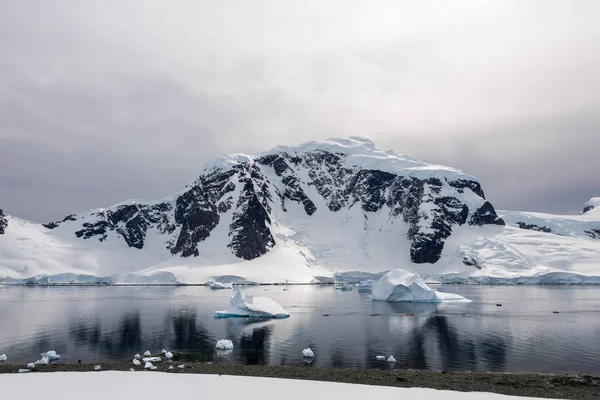 Paysage Marin Antarctique Avec Réflexion — Photo