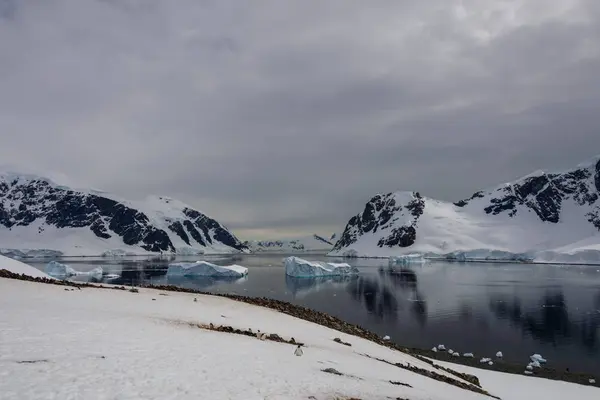 Marina Antártica Com Reflexão — Fotografia de Stock