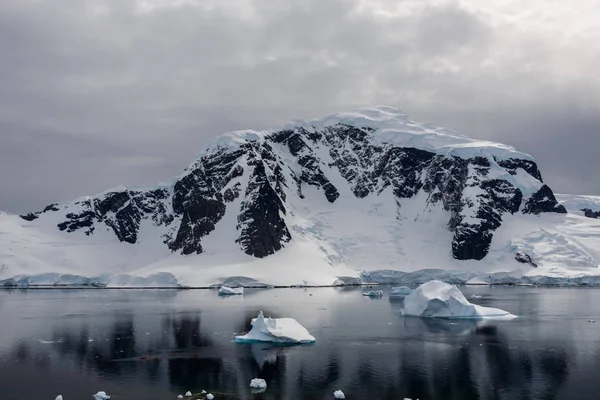 Marina Antártica Com Reflexão — Fotografia de Stock