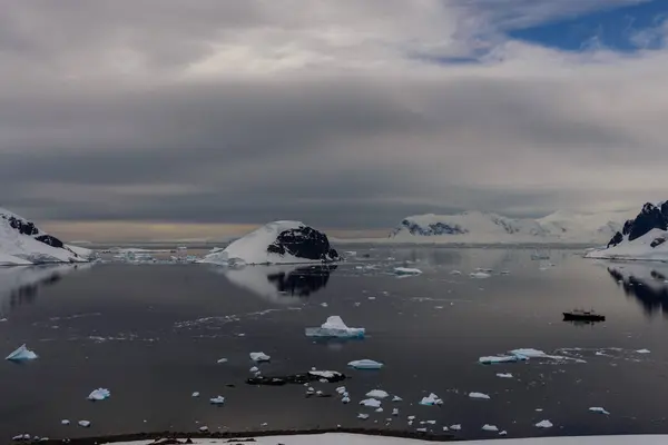 Marina Antártica Com Reflexão — Fotografia de Stock