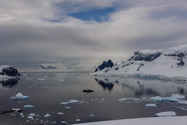 Marina Antártica Com Reflexão — Fotografia de Stock