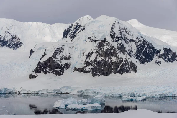 Marina Antártica Com Reflexão — Fotografia de Stock