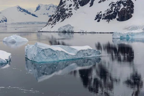 Antarctic Landscape Icebergs Reflection — Stock Photo, Image