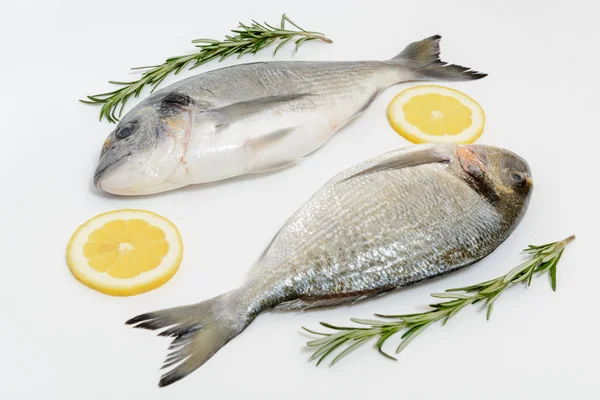 Due Pesci Dorada Freschi Con Limone Rosmarino Fondo Bianco — Foto Stock