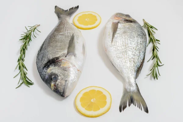 Due Pesci Dorada Freschi Con Limone Rosmarino Fondo Bianco — Foto Stock