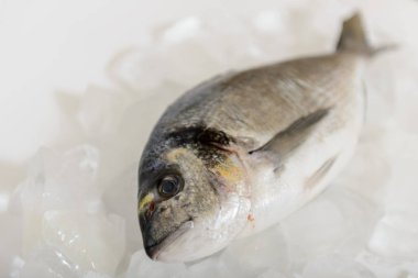 Buz üzerinde taze dorada balık