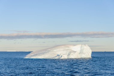 Güzel buzdağı Antarktika