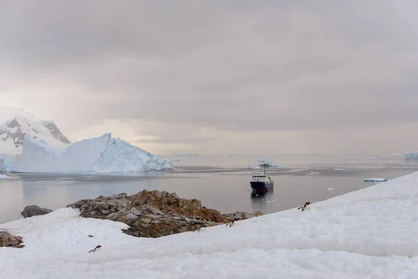 Expeditie Schip Antarctische Zee — Stockfoto