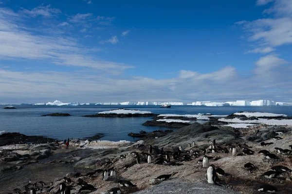 Antarctische Zeegezicht Met Ijsbergen — Stockfoto