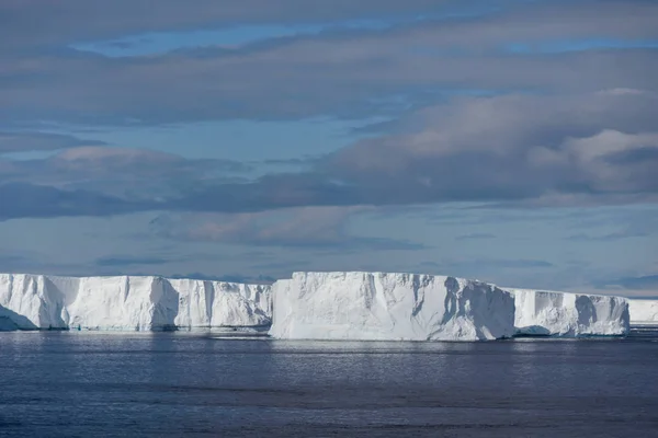 Marina Antártica Com Icebergs — Fotografia de Stock