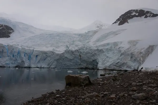 Praia Antártica Com Geleira — Fotografia de Stock