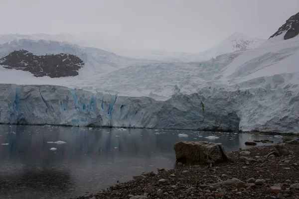 南极海滩与冰川 — 图库照片