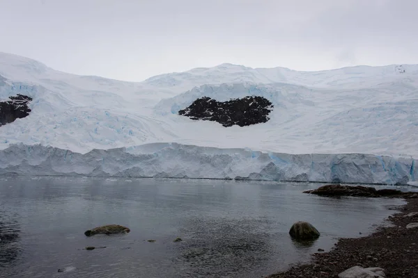 Plage Antarctique Avec Glacier — Photo