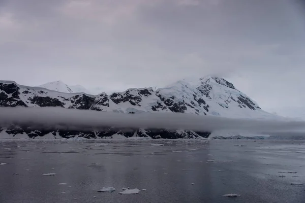 Антарктичний Морський Пейзаж Льодом — стокове фото