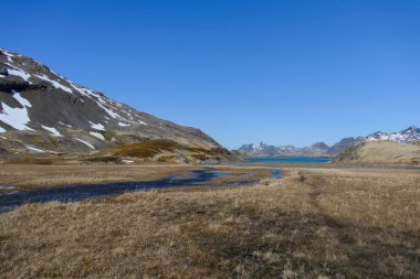Güzel Güney Georgia manzara