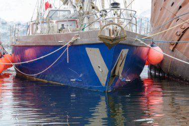 Antarktika Denizi'nde iki yelkenli yatlar için paslı batık demirleyen