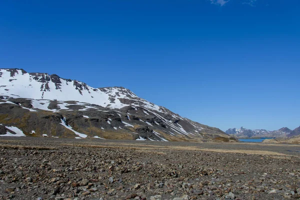 Schöne Südgeorgien Landschaft — Stockfoto