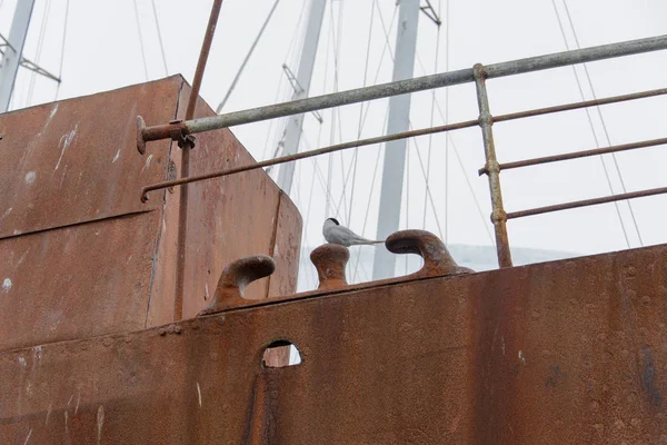 Viejo Barco Oxidado Vista —  Fotos de Stock