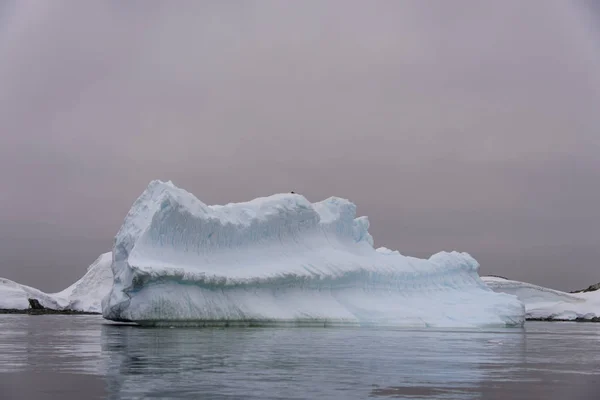 Paisagem Antártica Com Iceberg — Fotografia de Stock