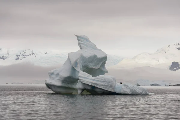 Antarctic Landscape Iceberg — Stock Photo, Image