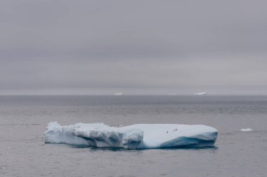 Buzdağı Antarktika deniz