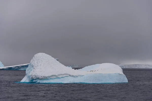 Iceberg Com Pinguins Mar Antárctico — Fotografia de Stock