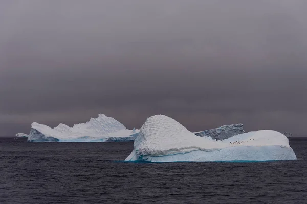 Iceberg Mar Antárctico — Fotografia de Stock