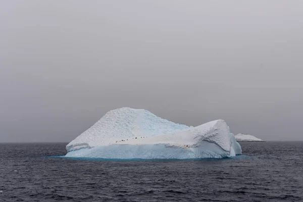 Iceberg Com Pinguins Mar Antárctico — Fotografia de Stock