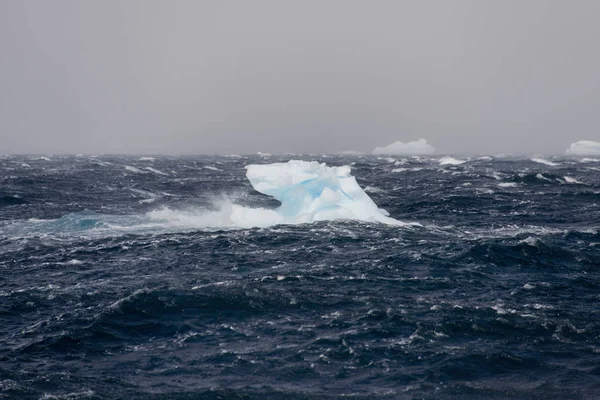 Glace Mer Antarctique — Photo