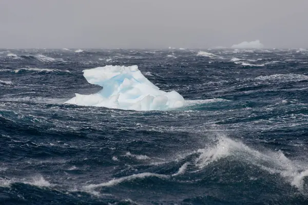 Glace Mer Antarctique — Photo