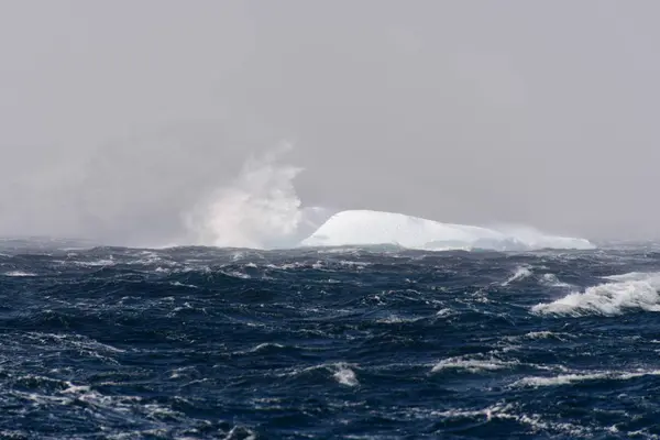 Iceberg Mar Antártico Tempestuoso — Fotografia de Stock