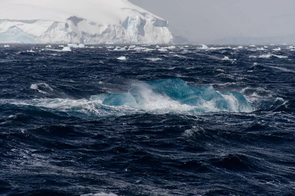 Ice Antarctic Sea — Stock Photo, Image