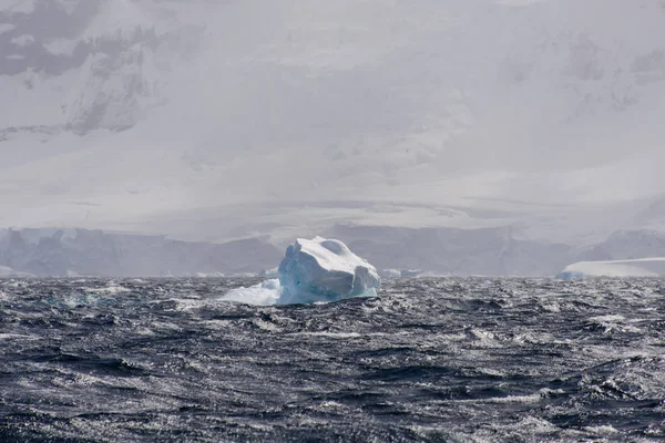 Glace Mer Antarctique — Photo