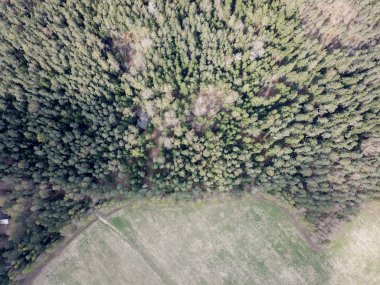 Ormanlarda havadan görünümü